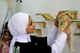 У Газі відкрилося перше «котяче кафе»