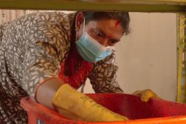 Як непальські жінки заробляють на личинках мух