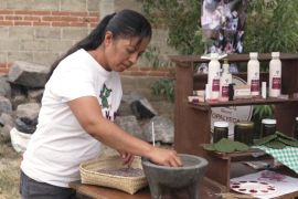 У Мексиці зберігають давню традицію робити фарбу з комах