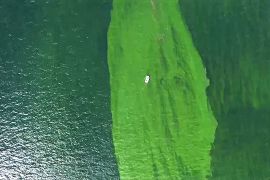 «Мертва зона» утворилася в Сіамській затоці біля берегів Таїланду через планктон