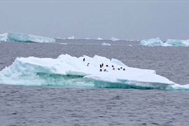Площа льоду в океані навколо Антарктиди досягла рекордно низького рівня