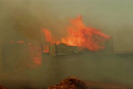 «Нічого не лишилося»: грецький фермер утратив усе через найбільшу в ЄС пожежу