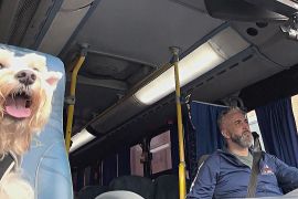 Автобус для собак з’явився в Бразилії