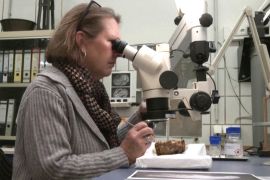 500-річний протез руки знайшли в Баварії