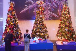 Понад 50 різдвяних ялинок, прикрашених за традиціями різних країн, показали в США