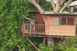 Освіта в екстремальних умовах: навчальний центр на дереві збудували в джунглях Перу