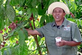 Як кавові фермери допомагають Панамському каналу
