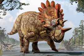 Як за 200 років розвинулася наука про динозаврів