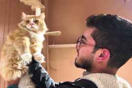 40 котів зустрічає гостей у котокав’ярні в Іраку