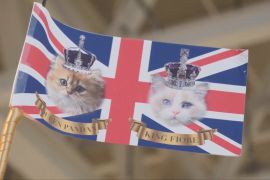 Кішки пройшли подіумом на Тижні моди в Лондоні