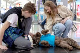 Стамбул: як собаки-терапевти допомагають в аеропорту