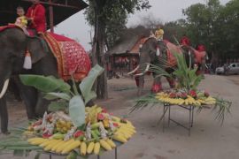 У Таїланді бенкетом відзначають День слона