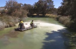 В Австралії створили глину, яка допомагає зупинити цвітіння води