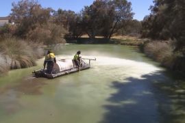В Австралії створили глину, яка допомагає зупинити цвітіння води