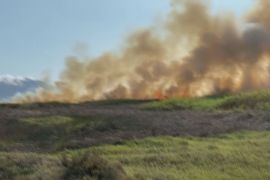 Не можуть загасити: велика лісова пожежа в Перу загрожує флорі та фауні