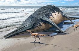 Науковці підтвердили, що виявили новий вид давніх іхтіозаврів
