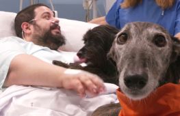 Собача терапія допомагає пацієнтам знайти сили в лікарні Барселони
