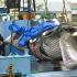Японія додасть фінвалів до переліку видів для китобійного промислу