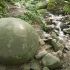 Таємничі кулясті камені приваблюють туристів до лісу в Боснії і Герцеговині