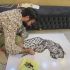 Іракський перукар створює картини з волосся клієнтів