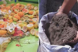 Як харчові відходи допомагають фермерам у Дубаї