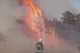 Балкани у вогні: лісові пожежі знищують будинки й змушують людей евакуюватися