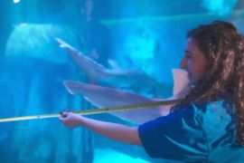 В акваріумах Sea Life у Великій Британії почався щорічний перерахунок мешканців