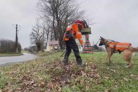 У Франції витоки води шукають патрулі із собаками