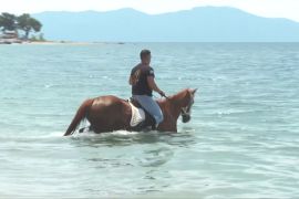 Як коні в Греції проходять обряд очищення в морі
