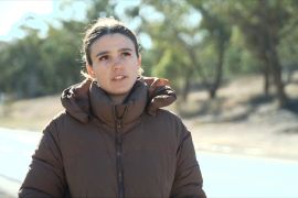 Чи допоможуть «віртуальні» огородження захистити тварин від загибелі на дорогах?