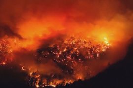 На півночі Туреччини вирують лісові пожежі: евакуйовано 3600 осіб
