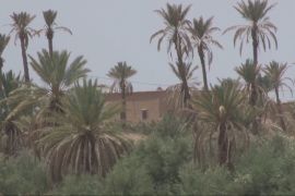 У Марокко зупиняють спустошення та рятують оази