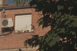 Мешканці Мадрида вимагають більше дерев для боротьби зі спекою