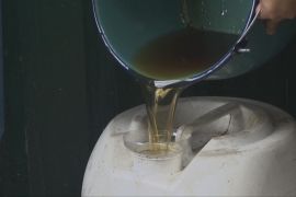 З використаної олії роблять корм для собак та мило