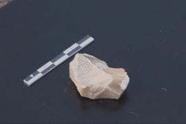 Знаряддя праці віком майже 1,5 млн років знайшли на острові Сулавесі в Індонезії