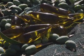 Кіпрські оливки допомагають футболістам підвищувати витривалість