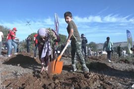 В Алжирі розпочинають кампанію відновлення лісів після великих пожеж