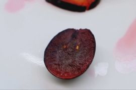 В Іспанії створили новий сорт винограду з червоним м’якушем