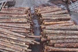 США підвищують мита на деревину та меблі