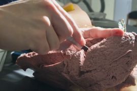 Британські студенти створили штучні органи, щоб замінити трупи