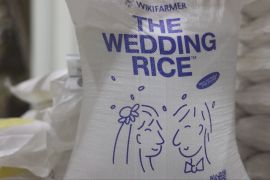 «Весільний рис»: грецькі фермери знайшли нове джерело доходу