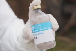 Франція залучила військовиків до вакцинації худоби на тлі спалаху інфекційної хвороби