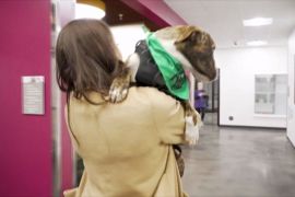 Жителі Атланти під час зимового шторму відкрили свої будинки для тварин з притулку