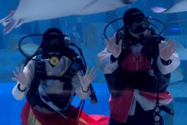Підводний спектакль провели на честь місячного Нового року в океанаріумі Сеула