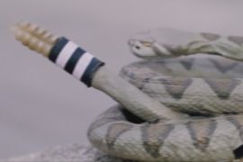 Науковці створили робота-гримучу змію, щоб дослідити поведінку тварин