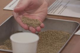 Лондонська виставка пропонує відвідувачам скуштувати їстівну землю