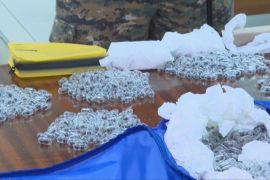 У Кенії китайцю дали рік в’язниці за спробу вивезти живих мурах