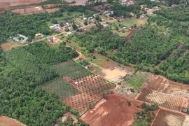 Тропічні ліси під загрозою: вирубування в Індонезії зросло на дві третини