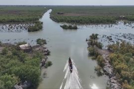 В Іраку історичні болота Чибайїш оживають після тривалої посухи