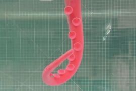 В Італії створили роборуку, яка здатна захоплювати предмети під водою